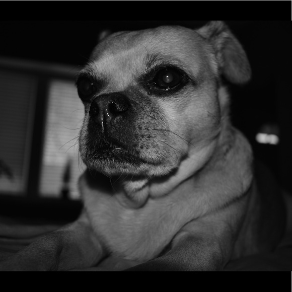 Meet your Posher, Raymond! - Picture 7 of 8